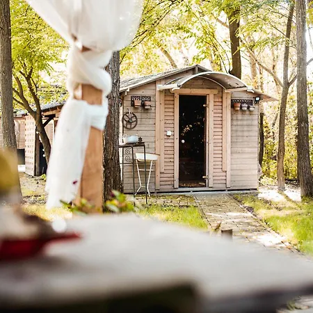 Erdőszéli Házikó Baja