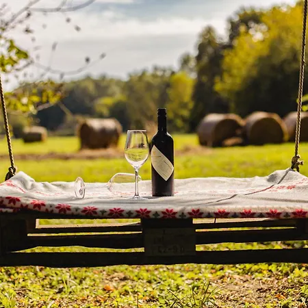 Erdőszéli Házikó Baja